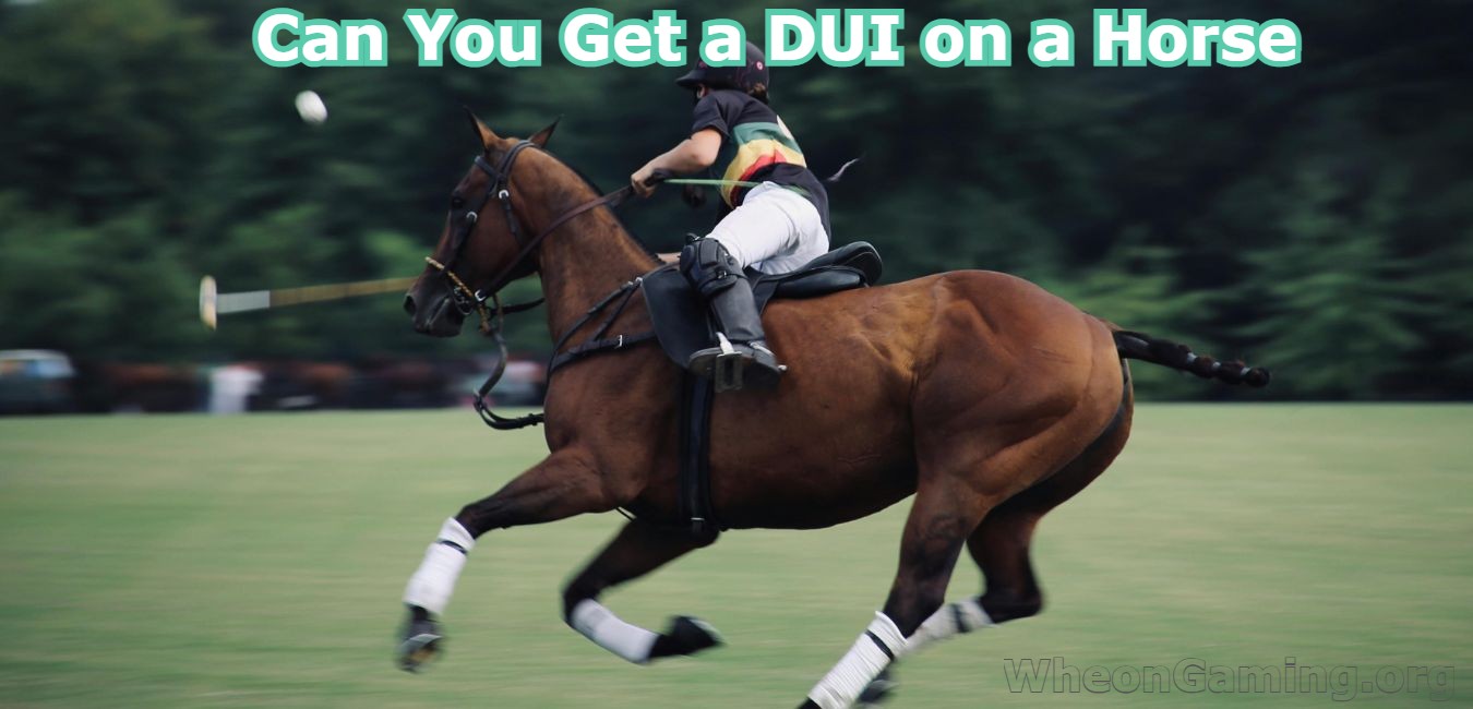 Can You Get a DUI on a Horse