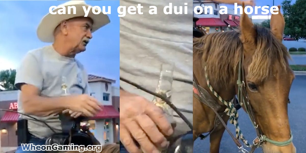 Can You Get a DUI on a Horse
