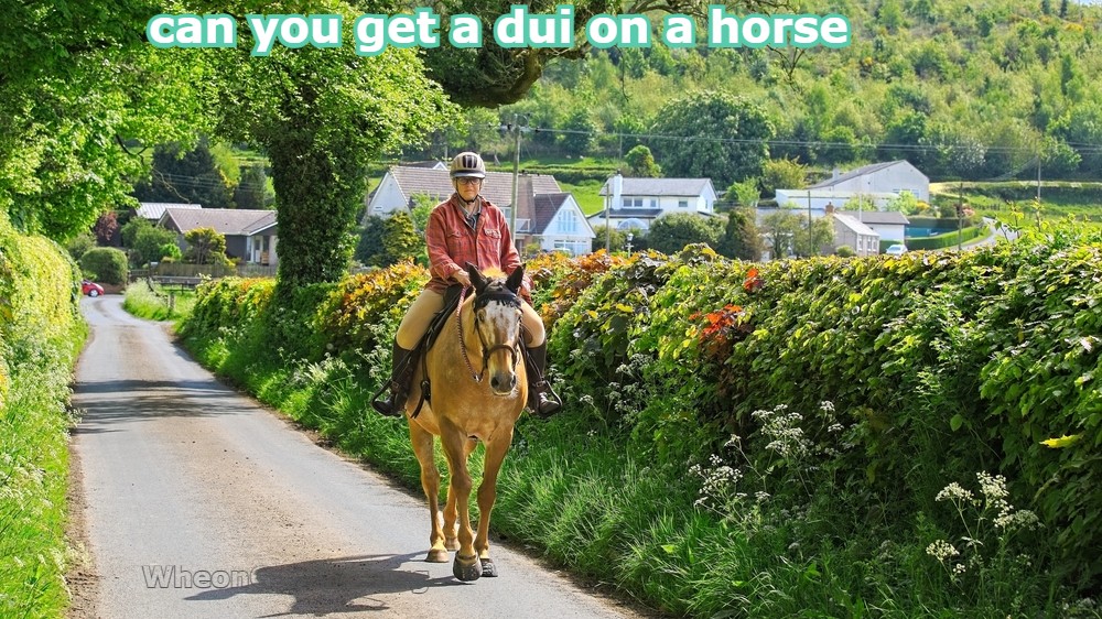 Can You Get a DUI on a Horse? The Surprising Truth